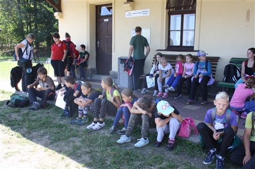 Obrázek v galerii